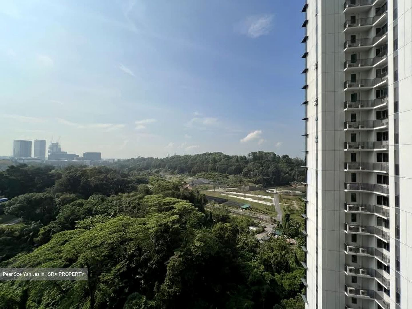 Normanton Park (D5), Apartment #578379841